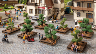 Noch 21546 okrasné keře 4-5cm 12ks