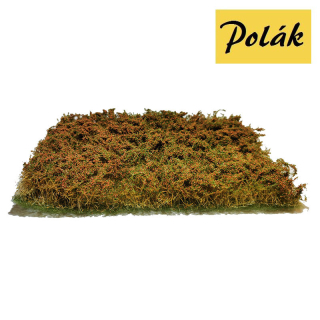 H0/TT Polák 5907 Keře divoké maliník